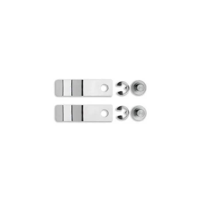 IMS Clip for IMS Cassette 2 Pcs, for hinged Instruments