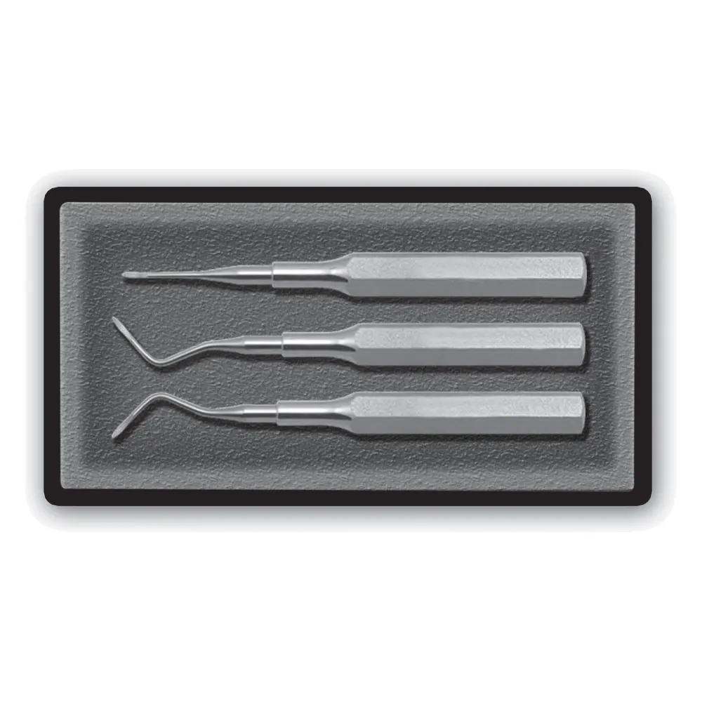 Dental Elevator Set, Heidbrink, 3 Pcs