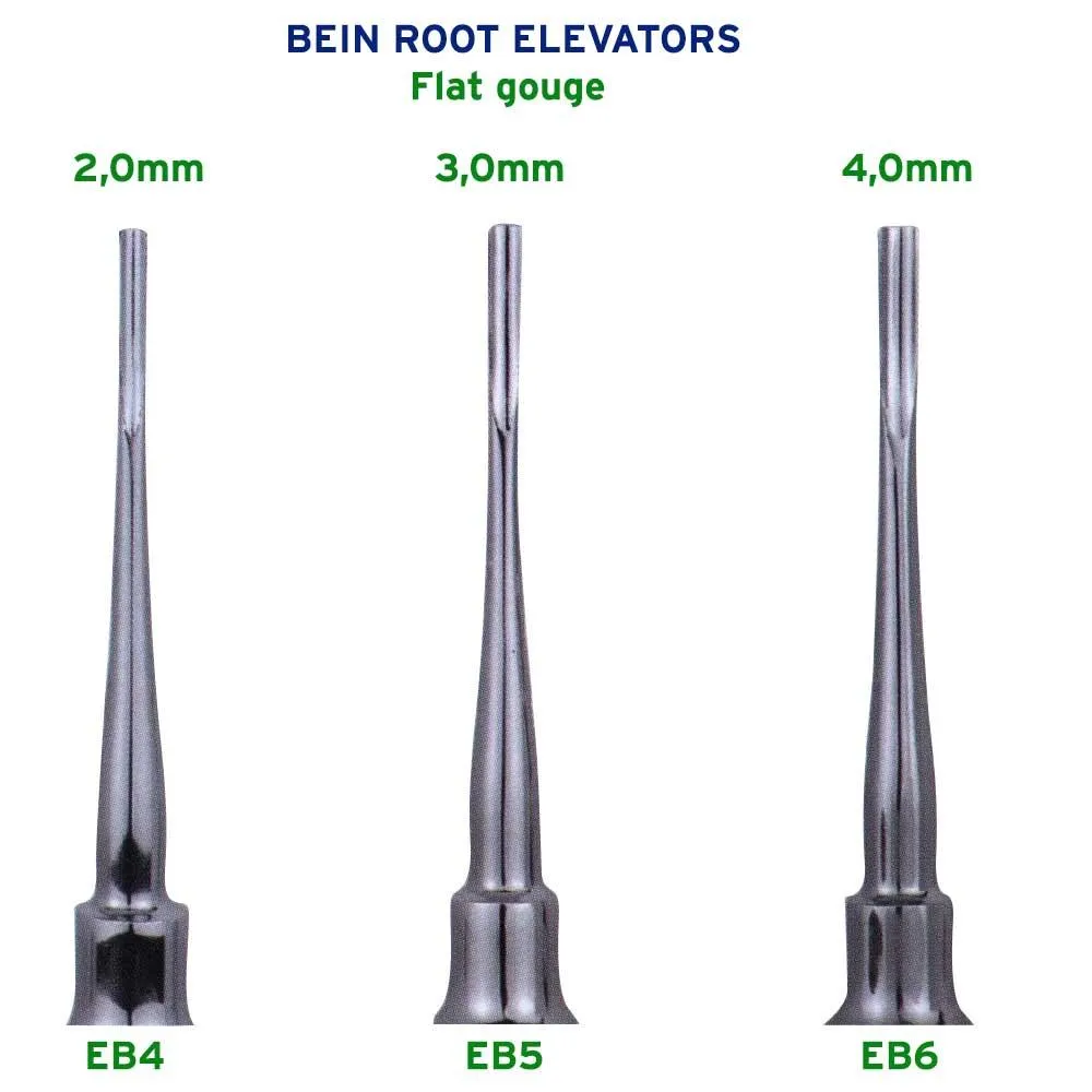 Dental Root Elevators Set, 3 Pcs, Bein Flat Gouge 2.0mm, 3.0mm, 4.0mm