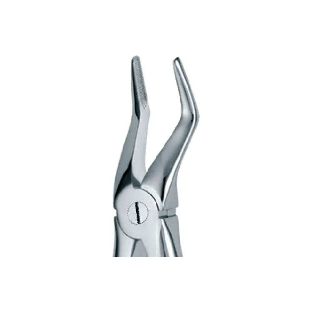 Dental Extraction Forceps 51A, Standard Handle