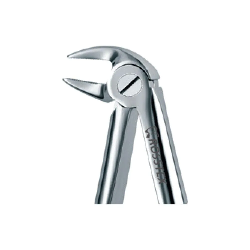 Dental Extraction Forceps 33A, Standard Handle