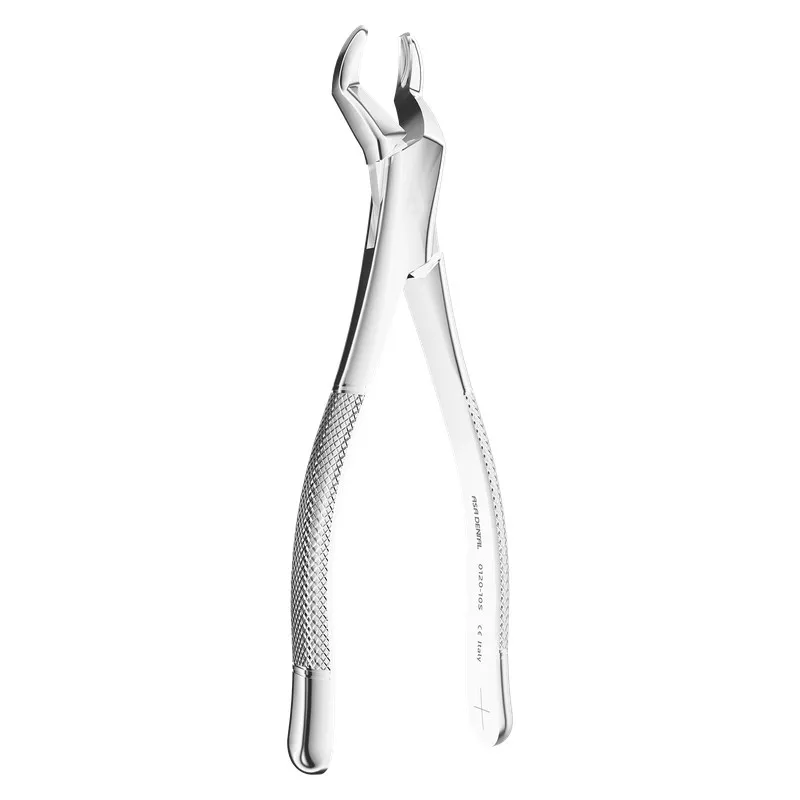 Extracting Forceps American pattern N. 10S