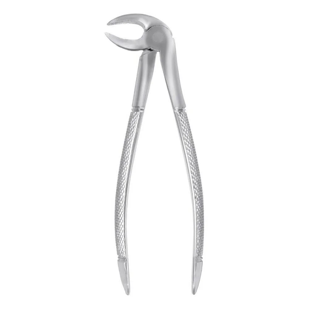 European Style Forceps #33