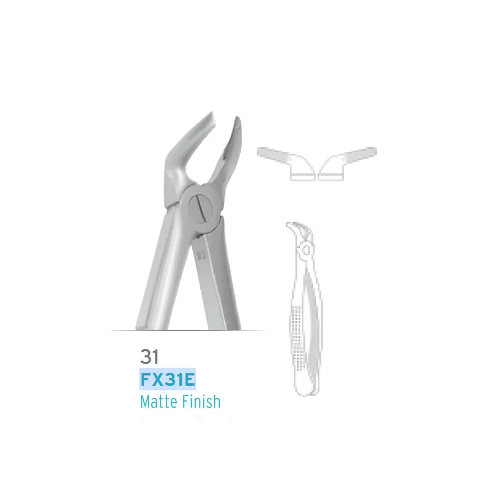 European Style Forceps #31
