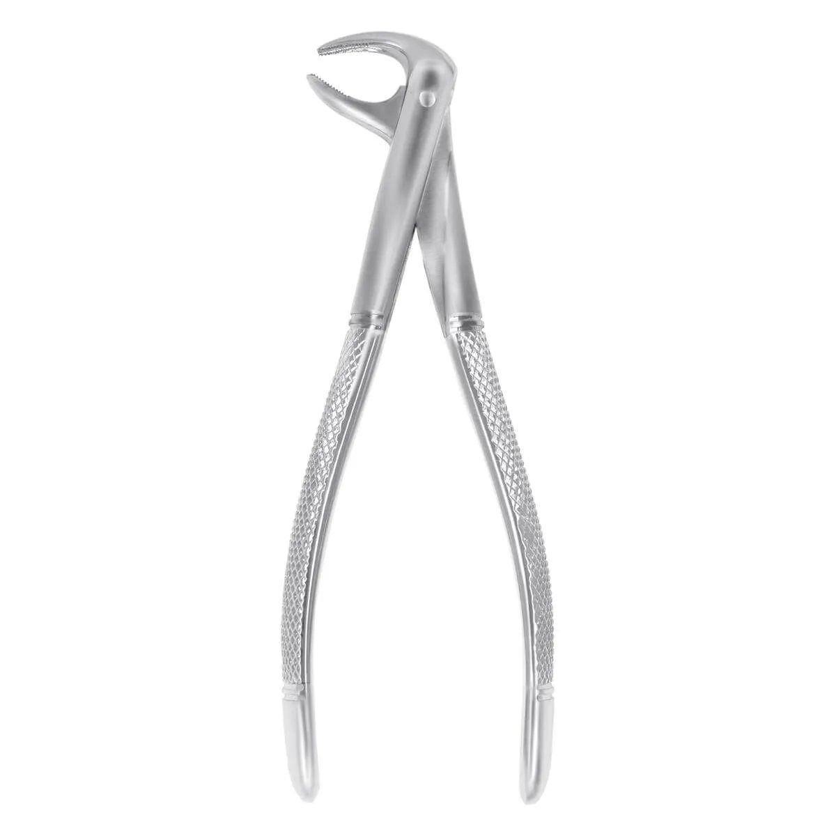 European Style Forceps #74