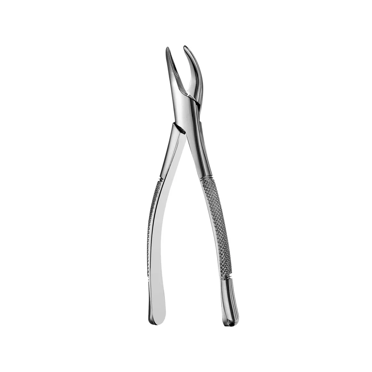 Upper and Lower Fragments and Roots Forceps #69