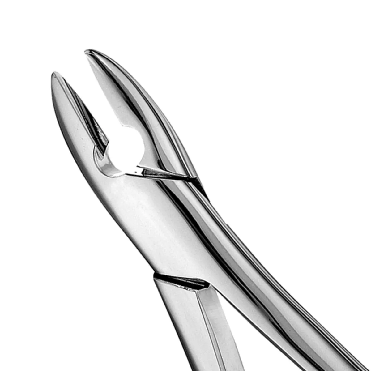 Anterior Teeth Extraction Forceps #1