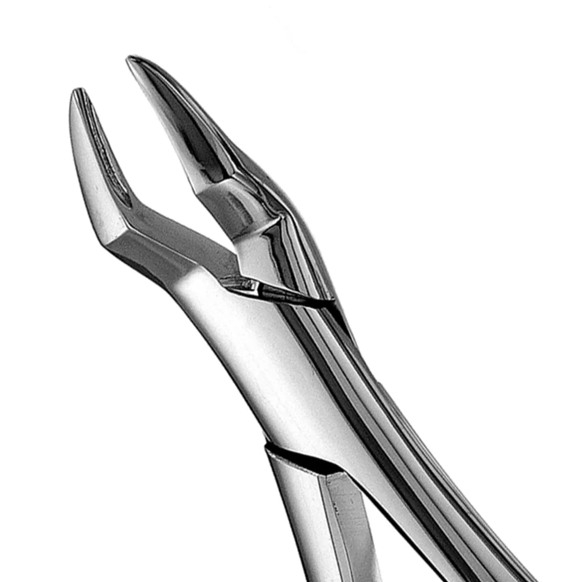 Upper Premolar & Roots Forceps #286