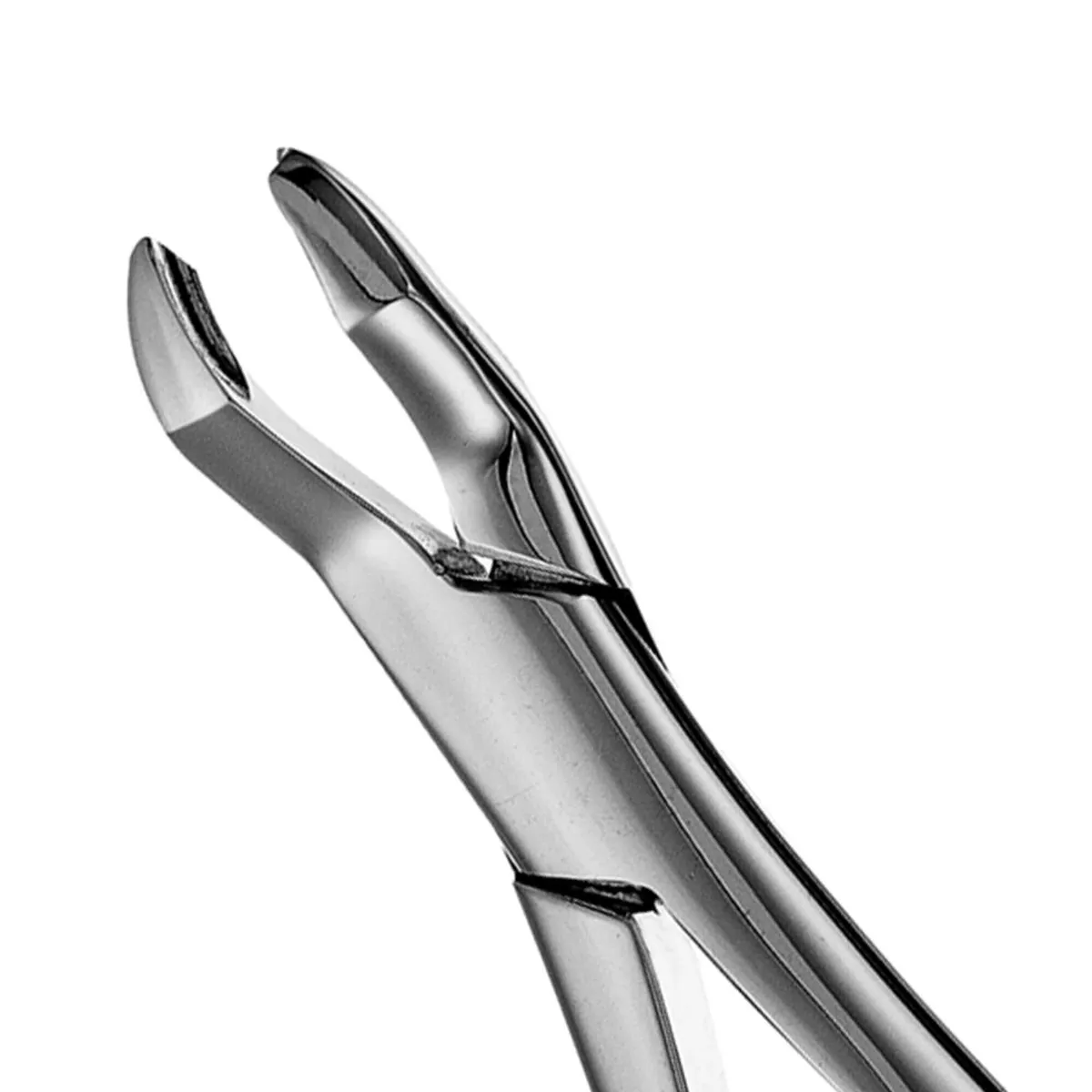 Upper Molars Forceps #53R, Pointed Right