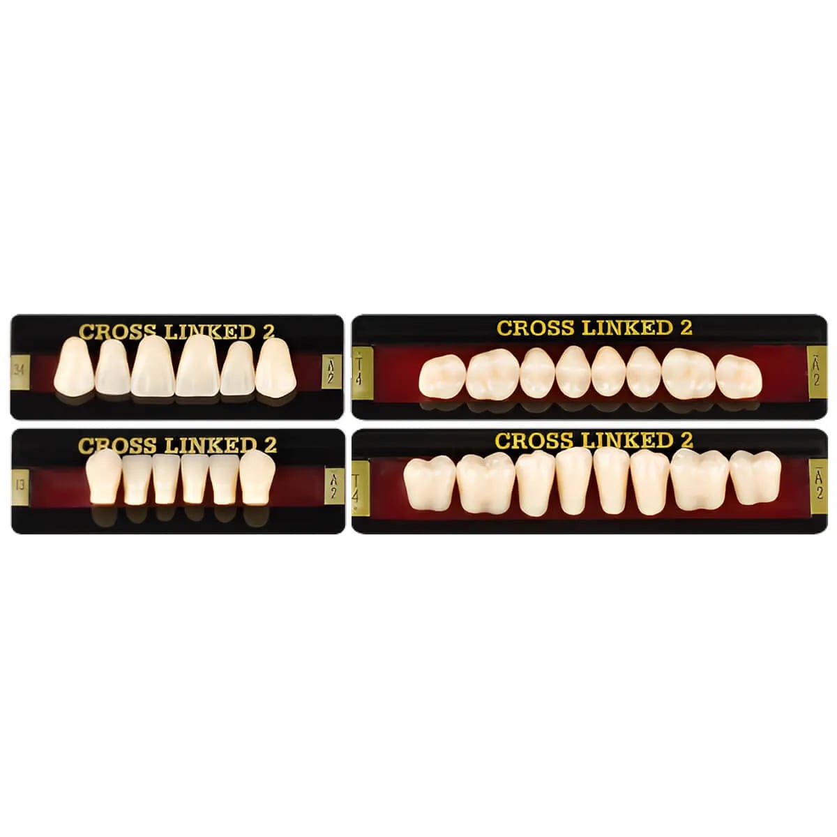 Cross Linked 2 Acrylic Teeth, A1 - M