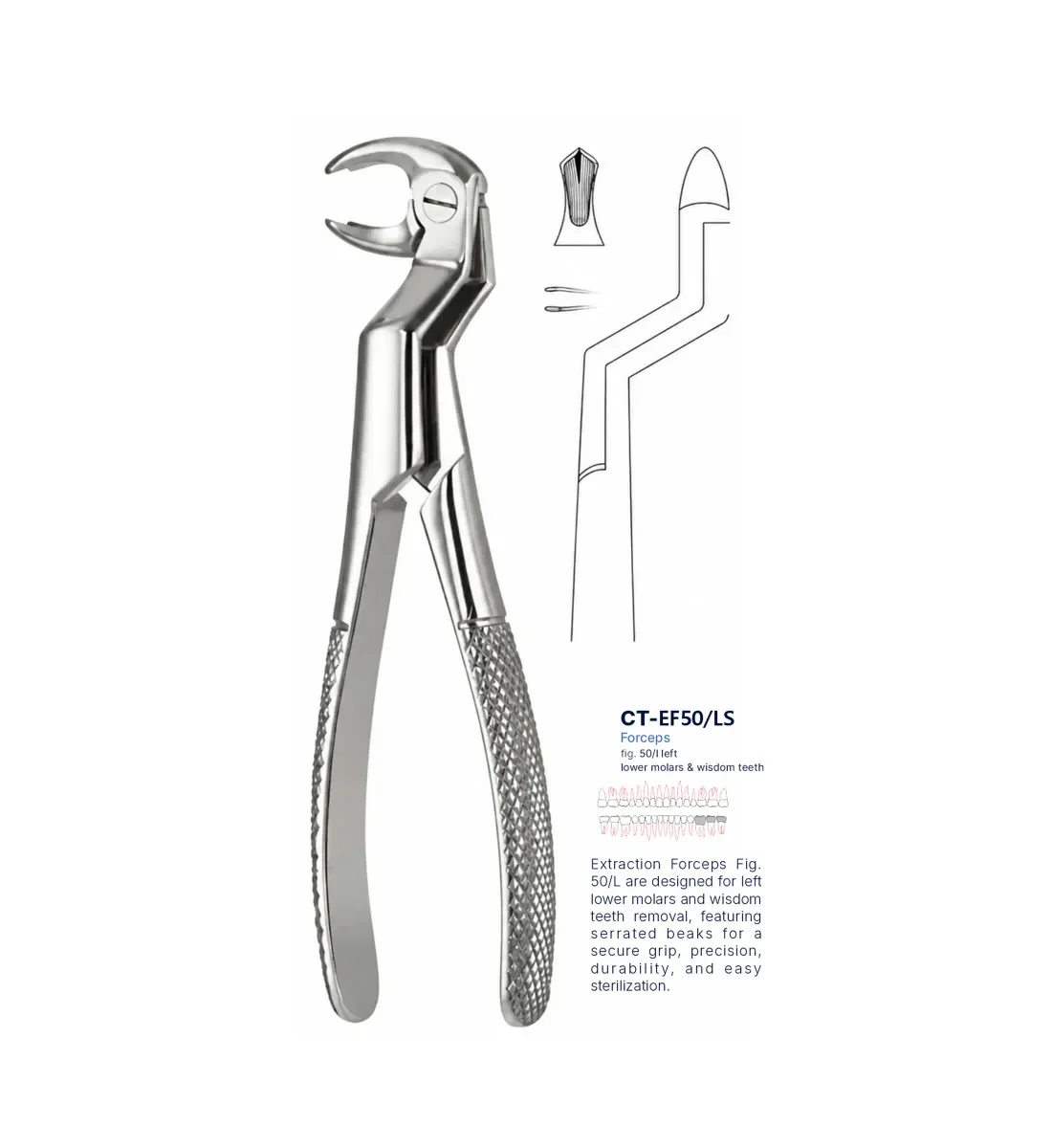 Dental Extraction Forceps 50L, Standard Handle