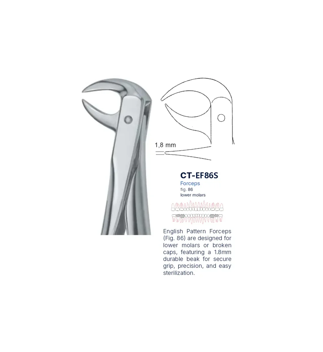 Dental Extraction Forceps 86, Standard Handle