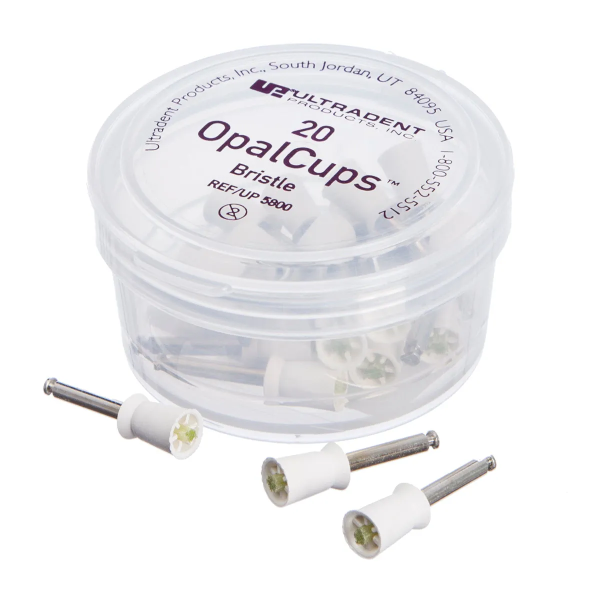 OpalCups Bristle