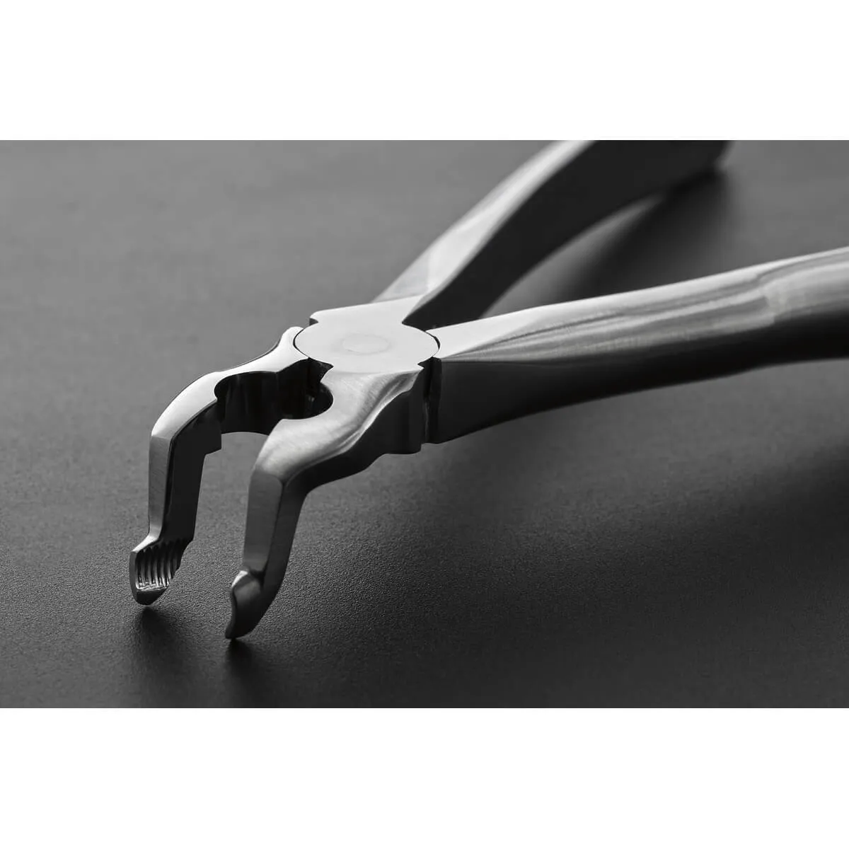 Tooth Forceps Dr.Comella