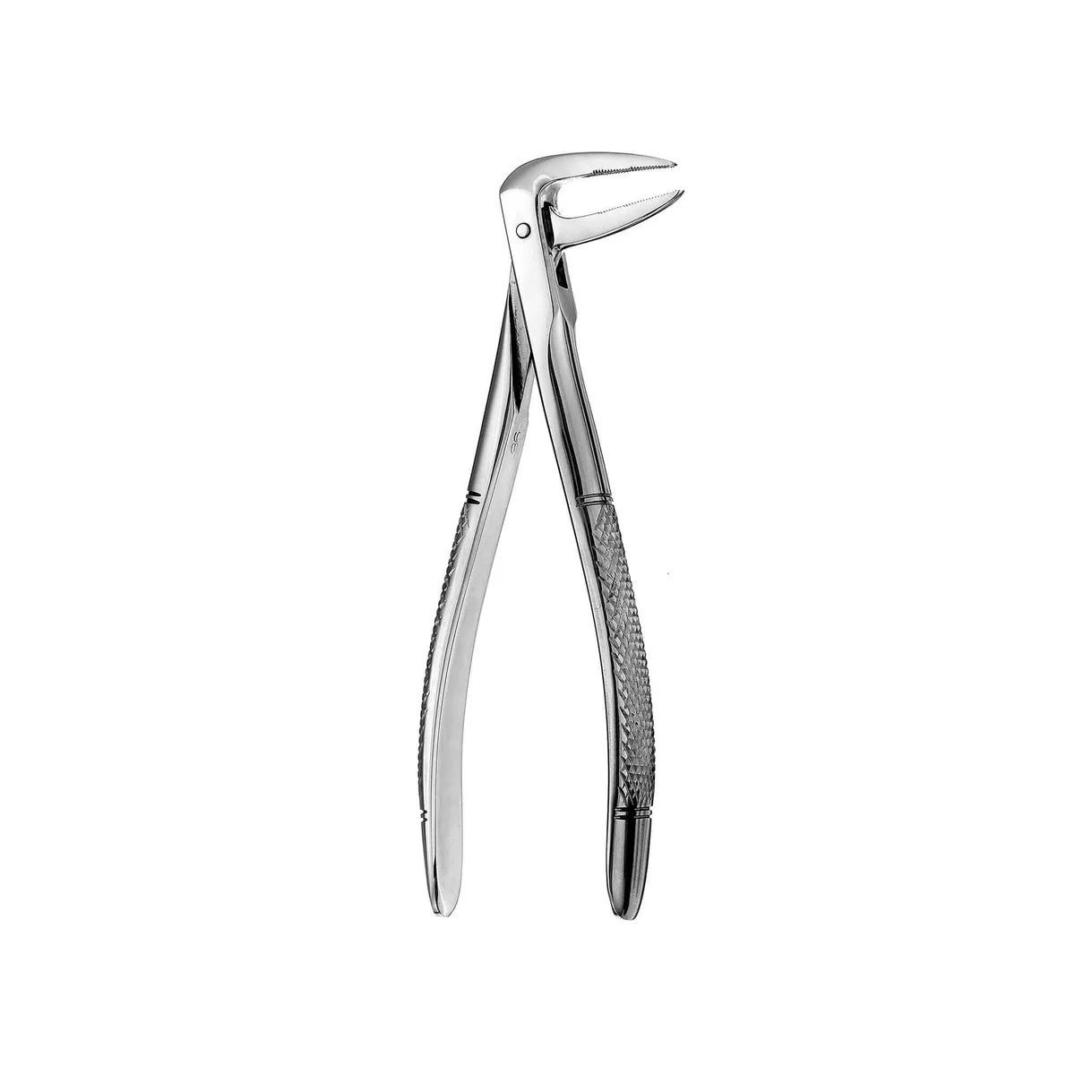 Lower Roots Forceps #233