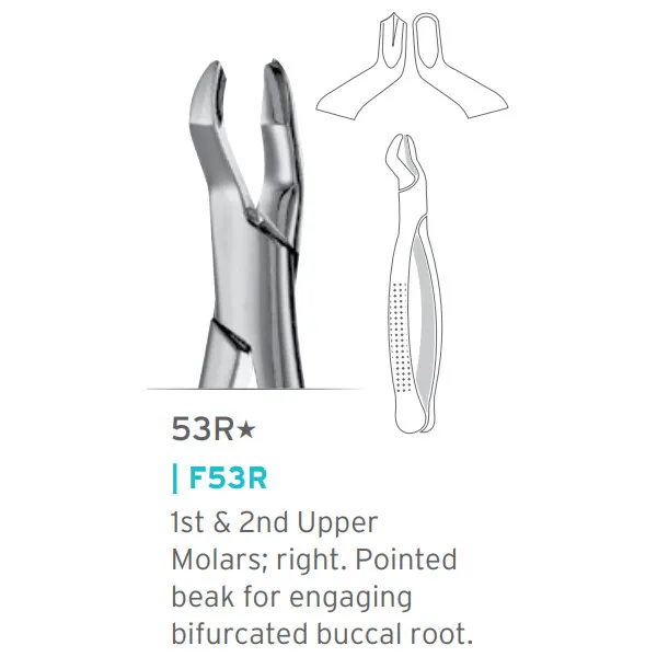 Upper Molars Forceps #53R, Pointed Right