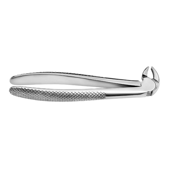Tooth Forceps For Lower Canines and Premolars, 600/13 - Otto Leibinger - 600/13