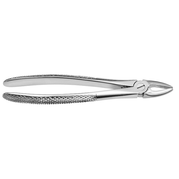 Tooth Forceps Upper Incisors and Canines Wide, 600/1 - Otto Leibinger - 600/1