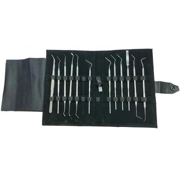 Basic Dental Instruments Kit, Small, 13 Pieces - Pasha Instruments - 1110-057