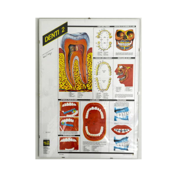 Dental Poster DENTI 2 - ASA Dental - 9999-2