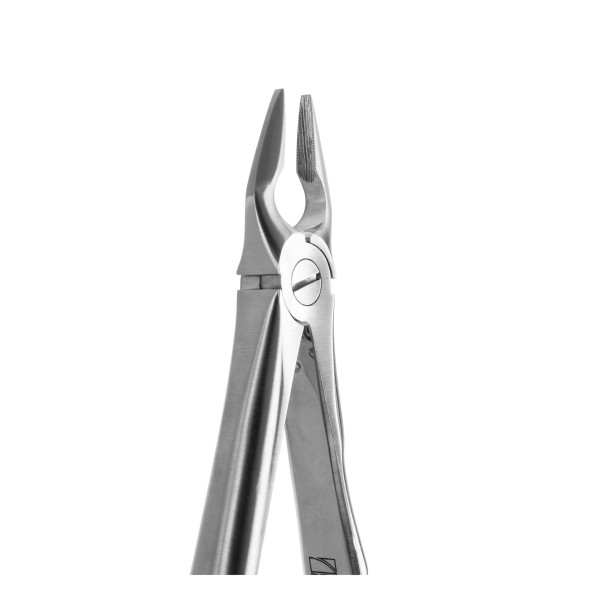 Tooth Forceps Central & Canine - Medesy - 2400/34N