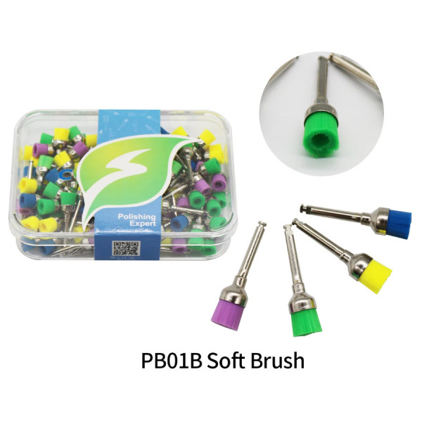 Prophy Brushes Nylon Big, Colored - Generic China - PB01B
