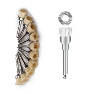 Dental Disposable Prophy Brushes/ Natural Bristles - China Brushes, Dental  Prophy Brushes