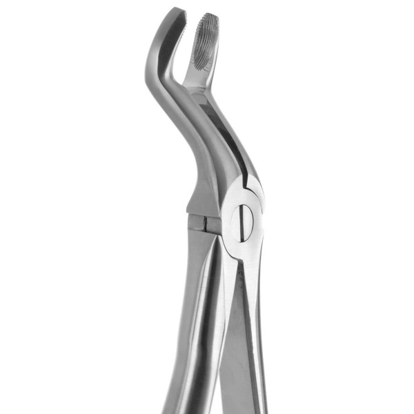 Tooth Forceps Blade Beaks N.67 - Medesy - 2400/67