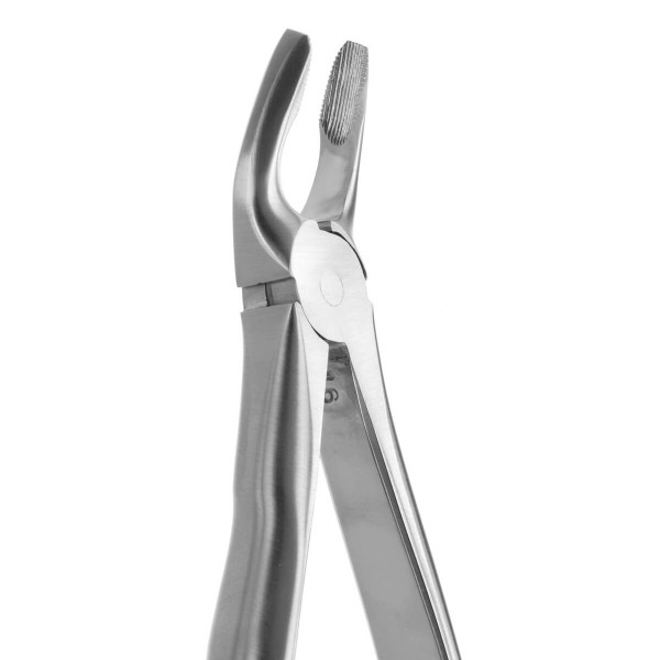 Tooth Forceps Blade Beaks N.7 - Medesy - 2400/7