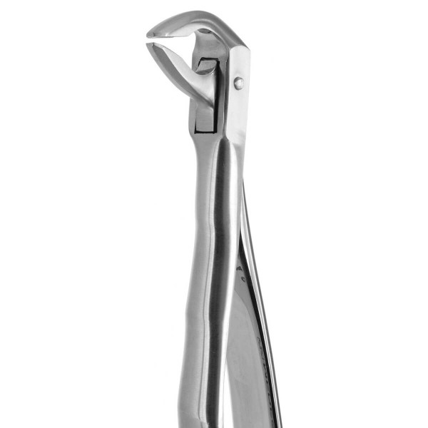 Tooth Forceps Blade Beaks N.74 - Medesy - 2400/74