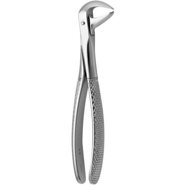 Tooth Forceps Cow Horn N.99 - Medesy - 2500/99