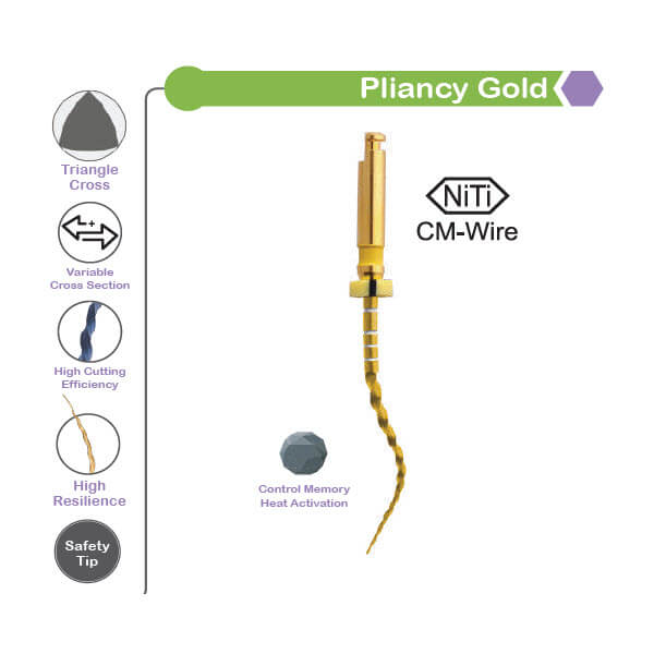 Pliancy Gold Rotary File Ni-Ti L25mm, F2, PK/6 - Luster Dent -