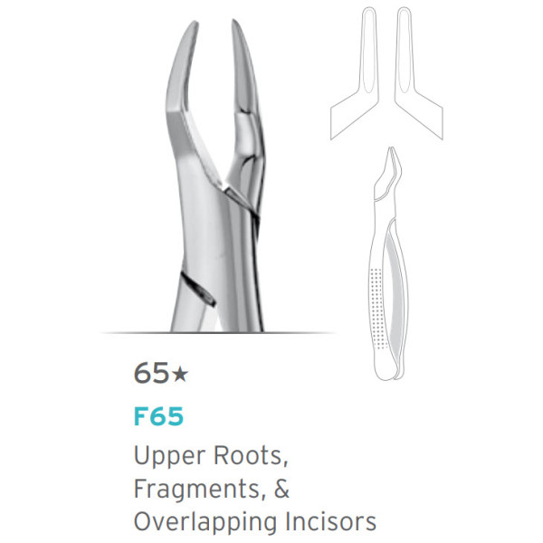 Upper Overlapping Incisors Forceps #65 - Hu Friedy - F65