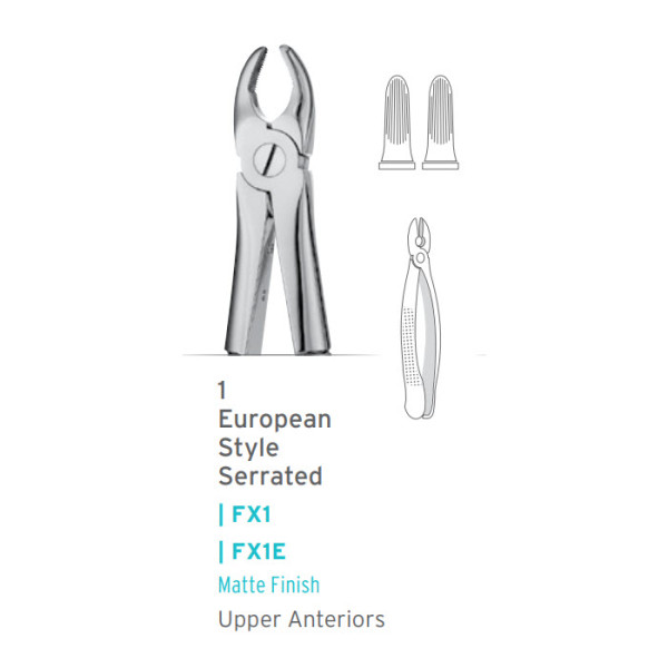 European Style Extraction Forceps #1 - Hu Friedy - FX1