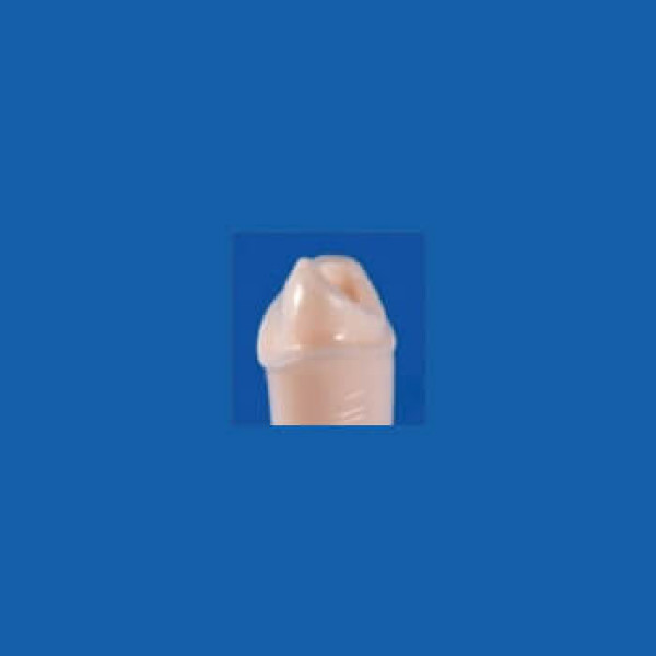 A21AN-UL18C, Pre-Prepared Tooth #21 (Post) - Nissin - A21AN-UL18C