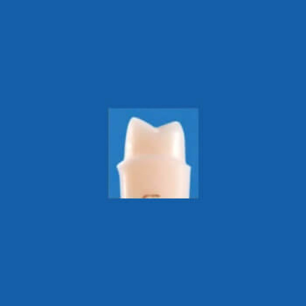 A25AN-UL41, Pre-Prepared Tooth #24 (Jacket) - Nissin - A25AN-UL41