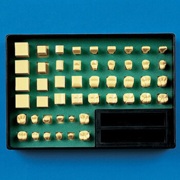 C11-TU.1, Tooth Carving Step Model (Full Set) - Nissin - C11-TU.1